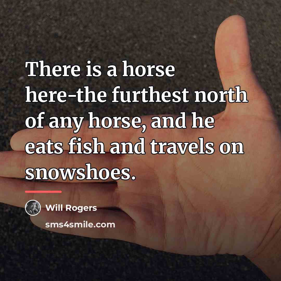 “There is a horse here-the furthest north of any horse,…” quote by Will Rogers