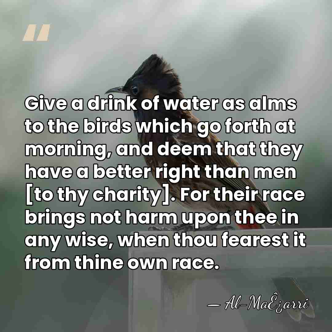 Give a drink of water as alms to the birds which go&hellip; - Al-MaÊ¿arri