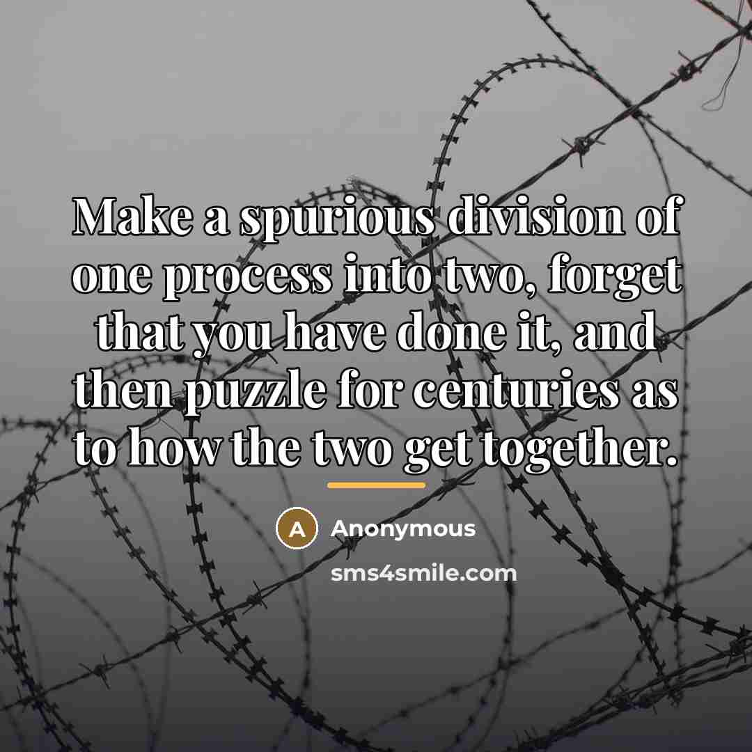 “Make a spurious division of one process into two, forget…” quote by Anonymous