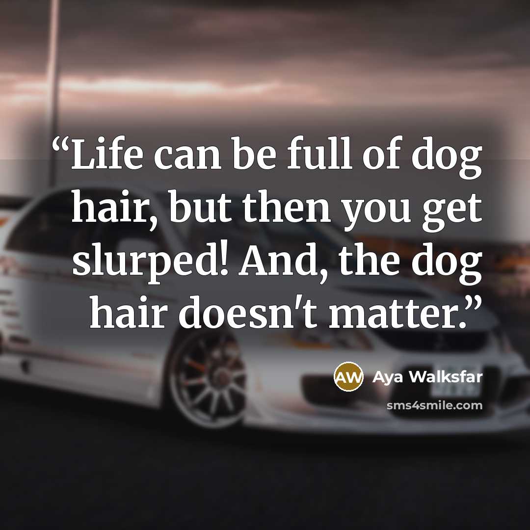 “Life can be full of dog hair, but then you get slurped! And, the dog hair doesn't matter.” quote by Aya Walksfar