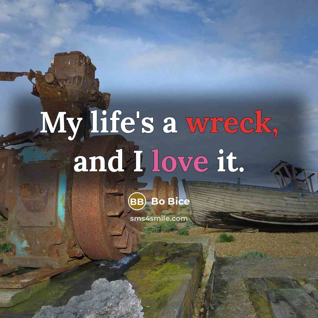 “My life's a wreck, and I love it.…” quote by Bo Bice