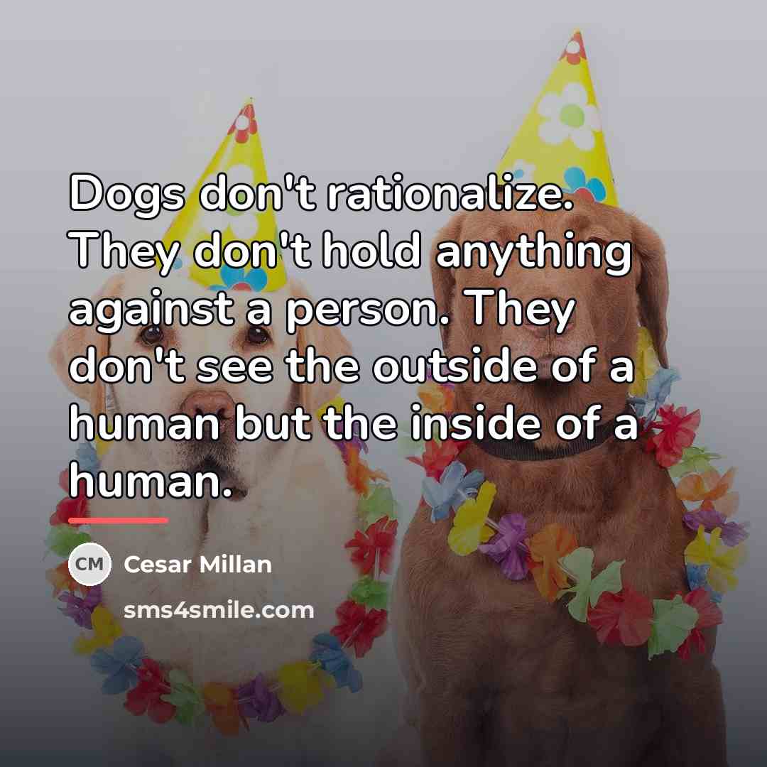 “Dogs don't rationalize. They don't hold anything against a person.…” quote by Cesar Millan
