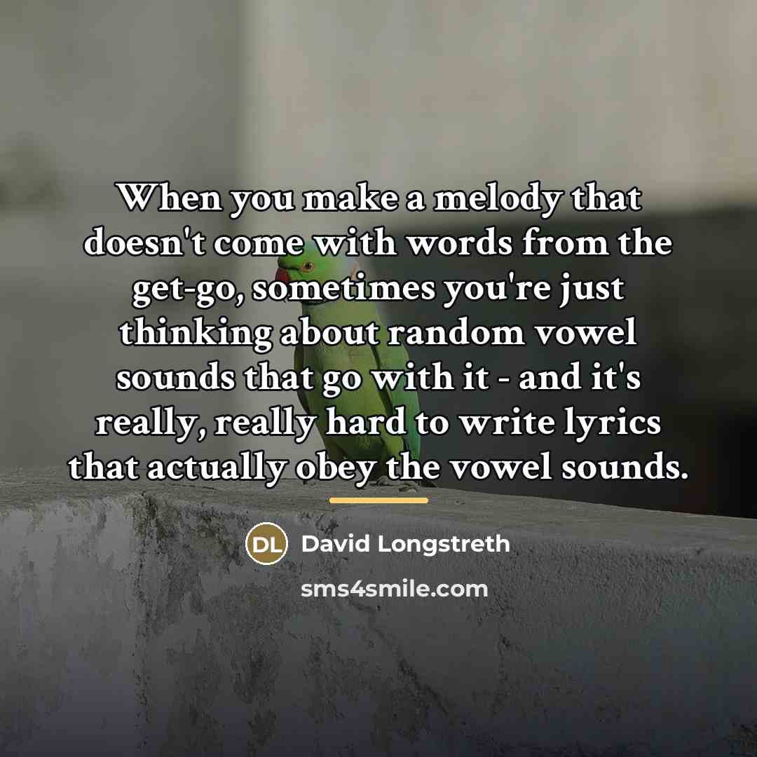 “When you make a melody that doesn't come with words…” quote by David Longstreth
