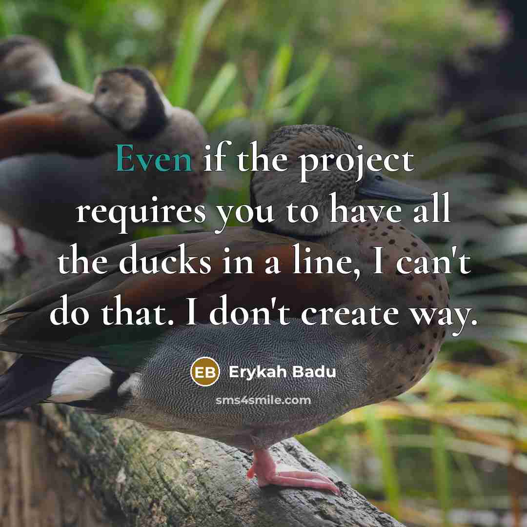 “Even if the project requires you to have all the…” quote by Erykah Badu