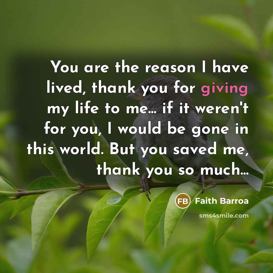 “You are the reason I have lived, thank you for…” quote by Faith Barroa