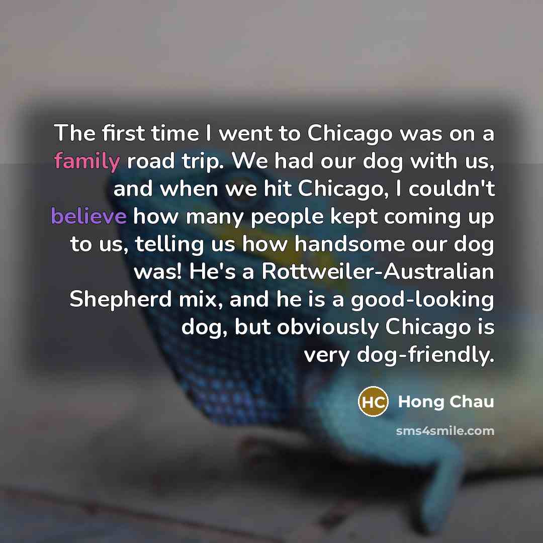 “The first time I went to Chicago was on a family road trip. We had our dog with us, and when we hit Chicago, I couldn't believe how many people kept coming up to us, telling us how handsome our dog was! He's a Rottweiler-Australian Shepherd mix, and he is a good-looking dog, but obviously Chicago…” quote by Hong Chau