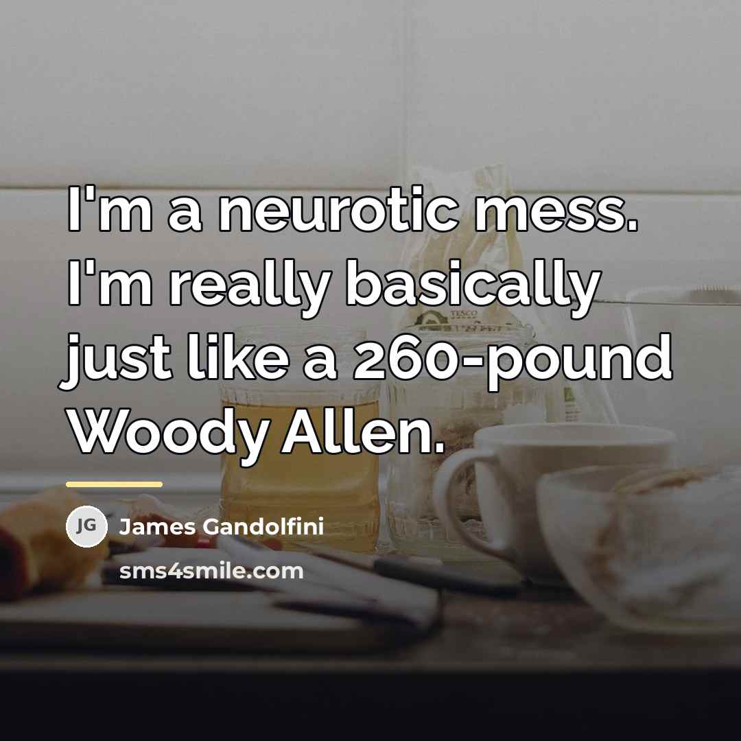 “I'm a neurotic mess. I'm really basically just like a…” quote by James Gandolfini