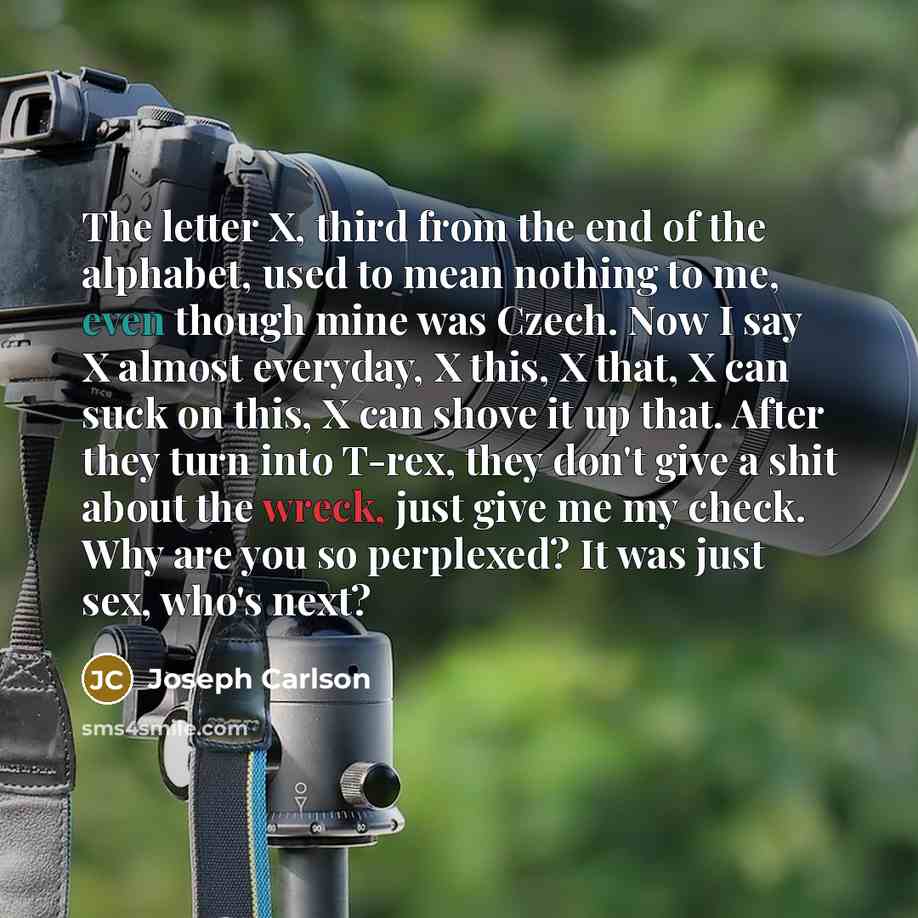 “The letter X, third from the end of the alphabet,…” quote by Joseph Carlson