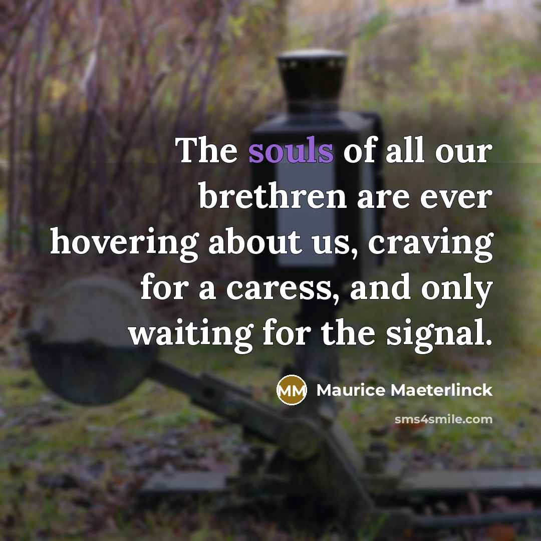 “The souls of all our brethren are ever hovering about…” quote by Maurice Maeterlinck
