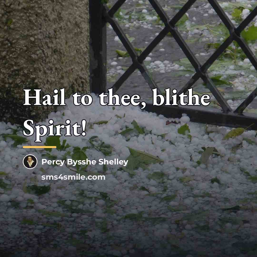 “Hail to thee, blithe Spirit!…” quote by Percy Bysshe Shelley