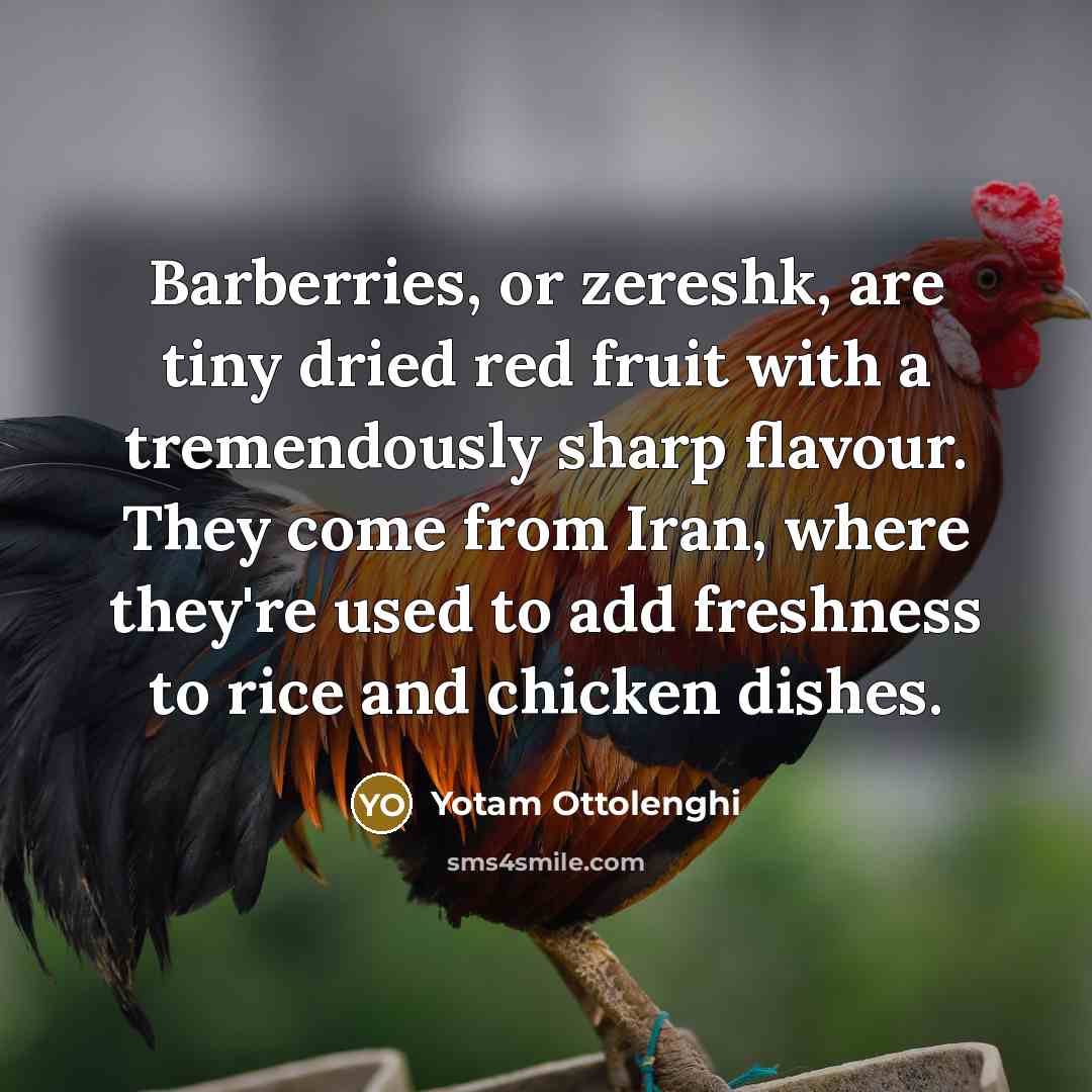 “Barberries, or zereshk, are tiny dried red fruit with a…” quote by Yotam Ottolenghi