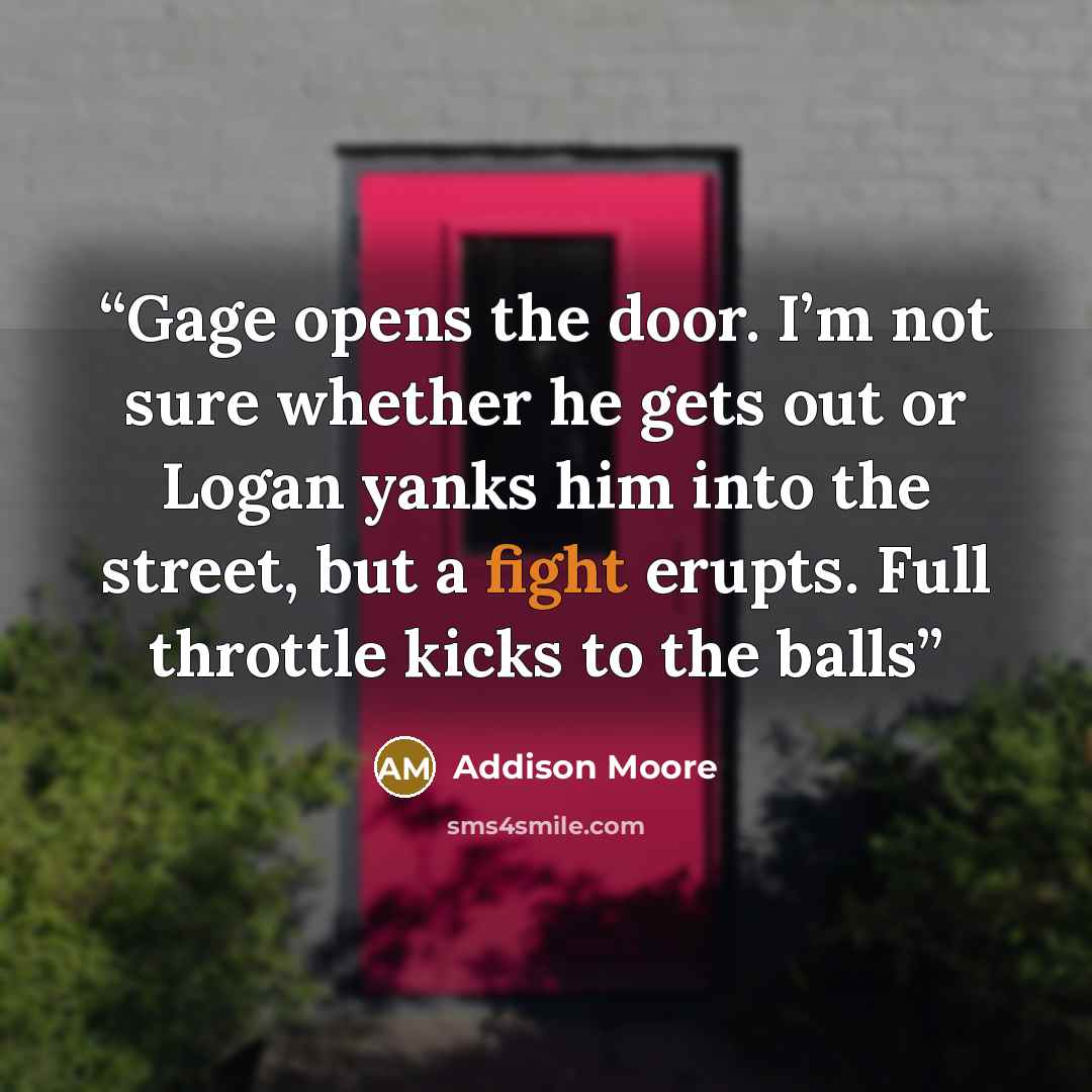 “Gage opens the door. I’m not sure whether he gets out or Logan yanks him into the street, but a fight erupts. Full throttle kicks to the balls” quote by Addison Moore