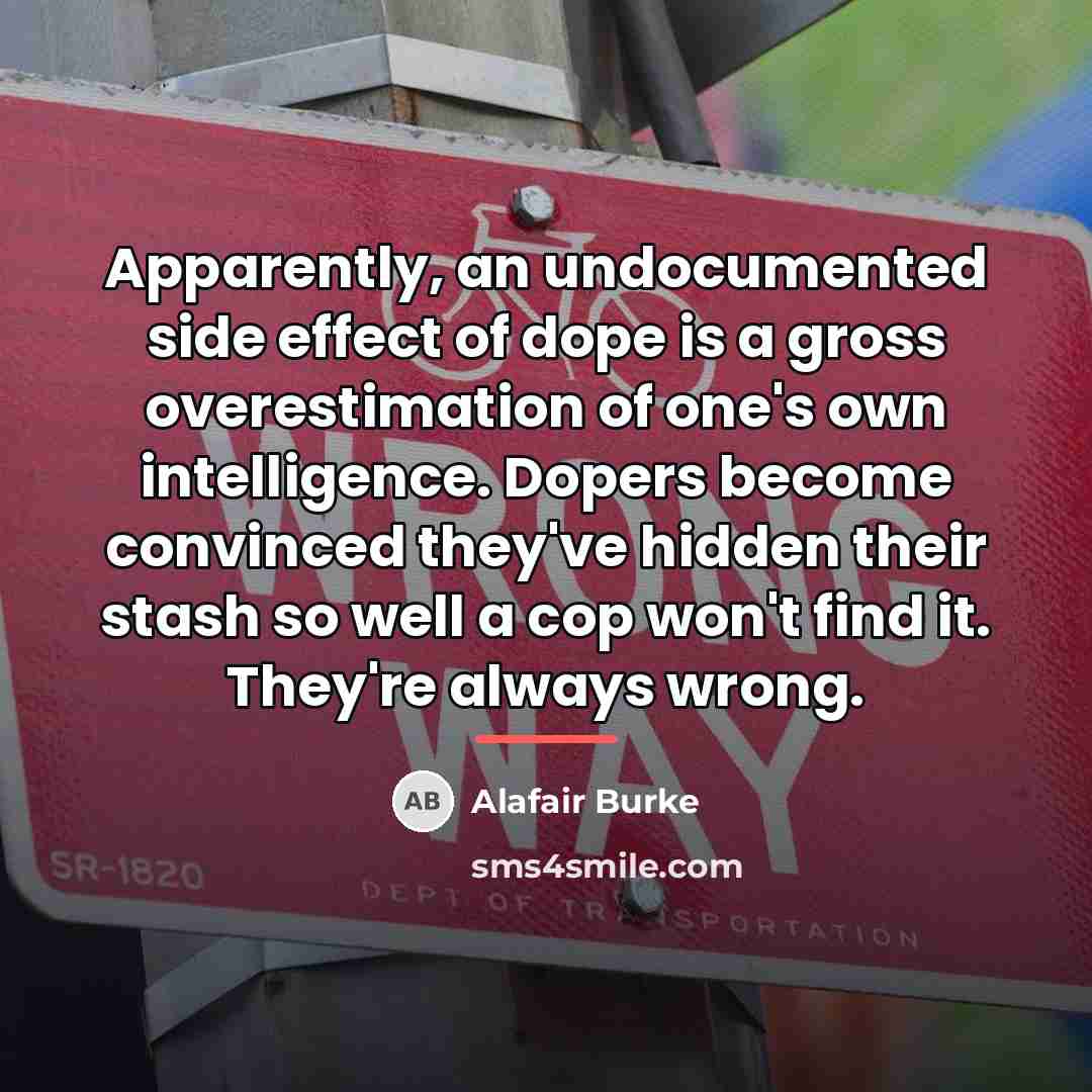 “Apparently, an undocumented side effect of dope is a gross…” quote by Alafair Burke