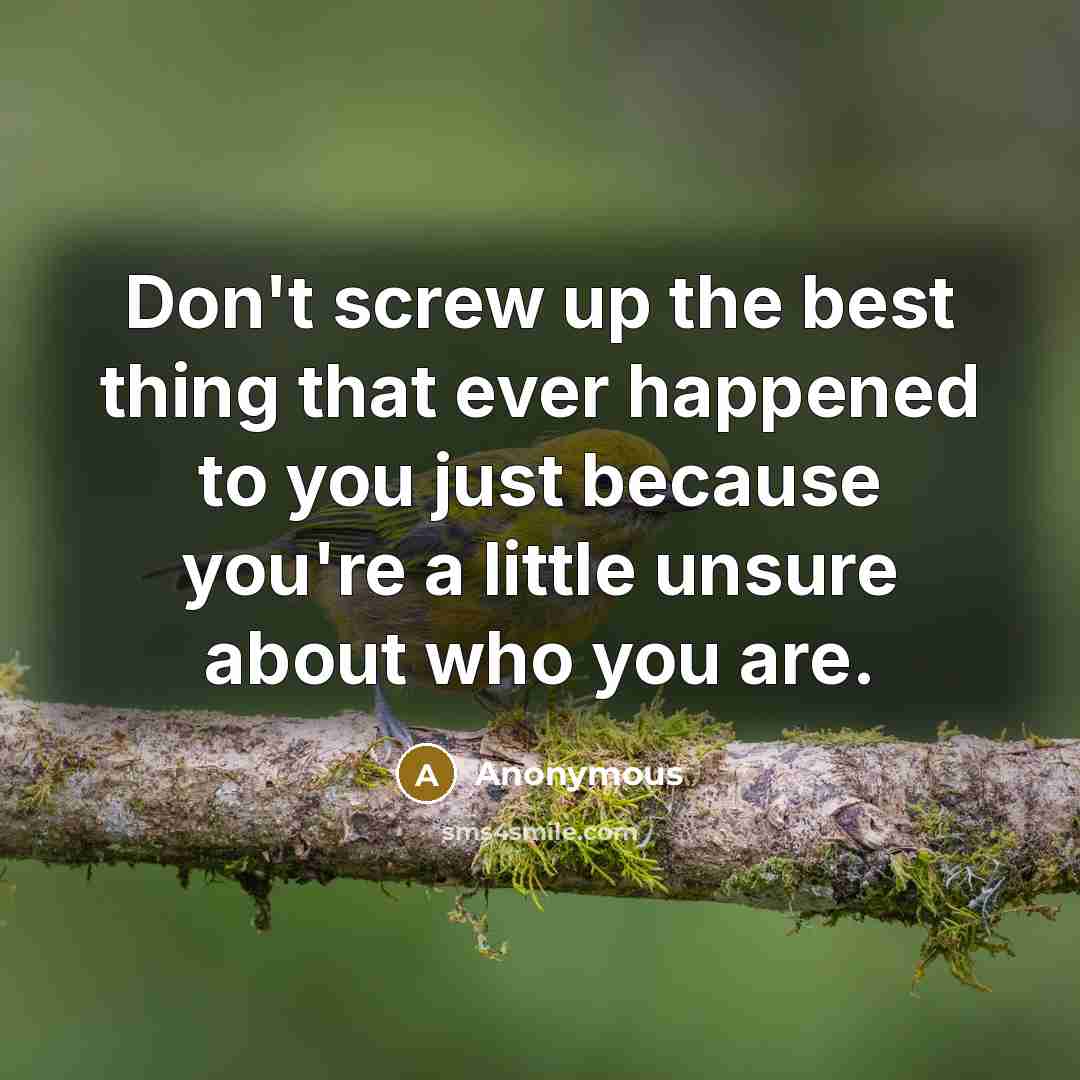 “Don't screw up the best thing that ever happened to…” quote by Anonymous