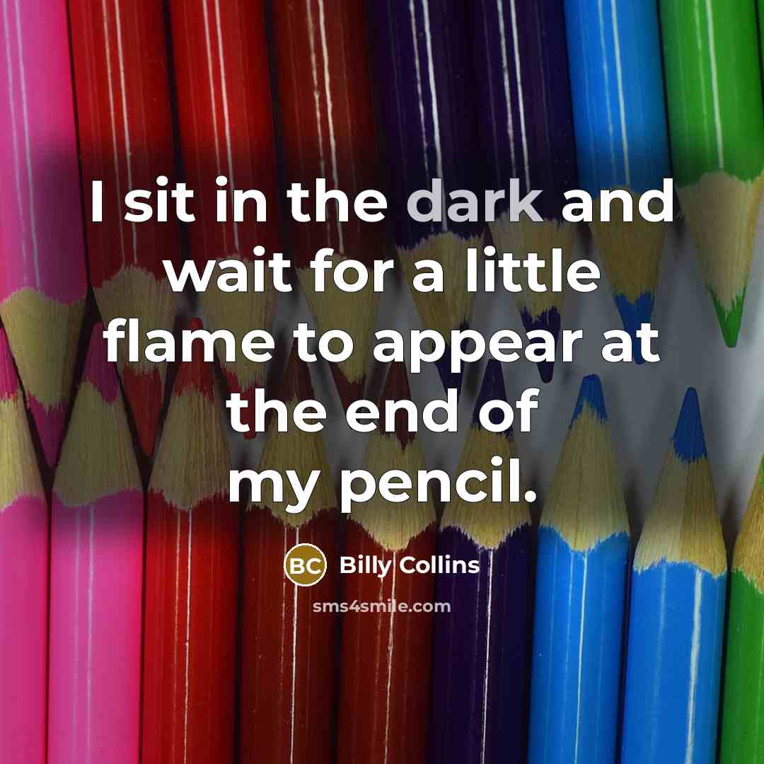 “I sit in the dark and wait for a little…” quote by Billy Collins