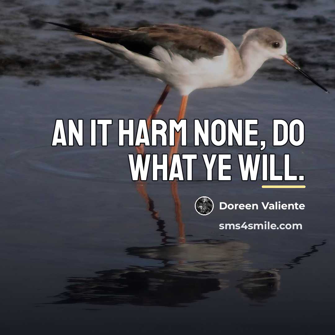 “An it harm none, do what ye will.…” quote by Doreen Valiente