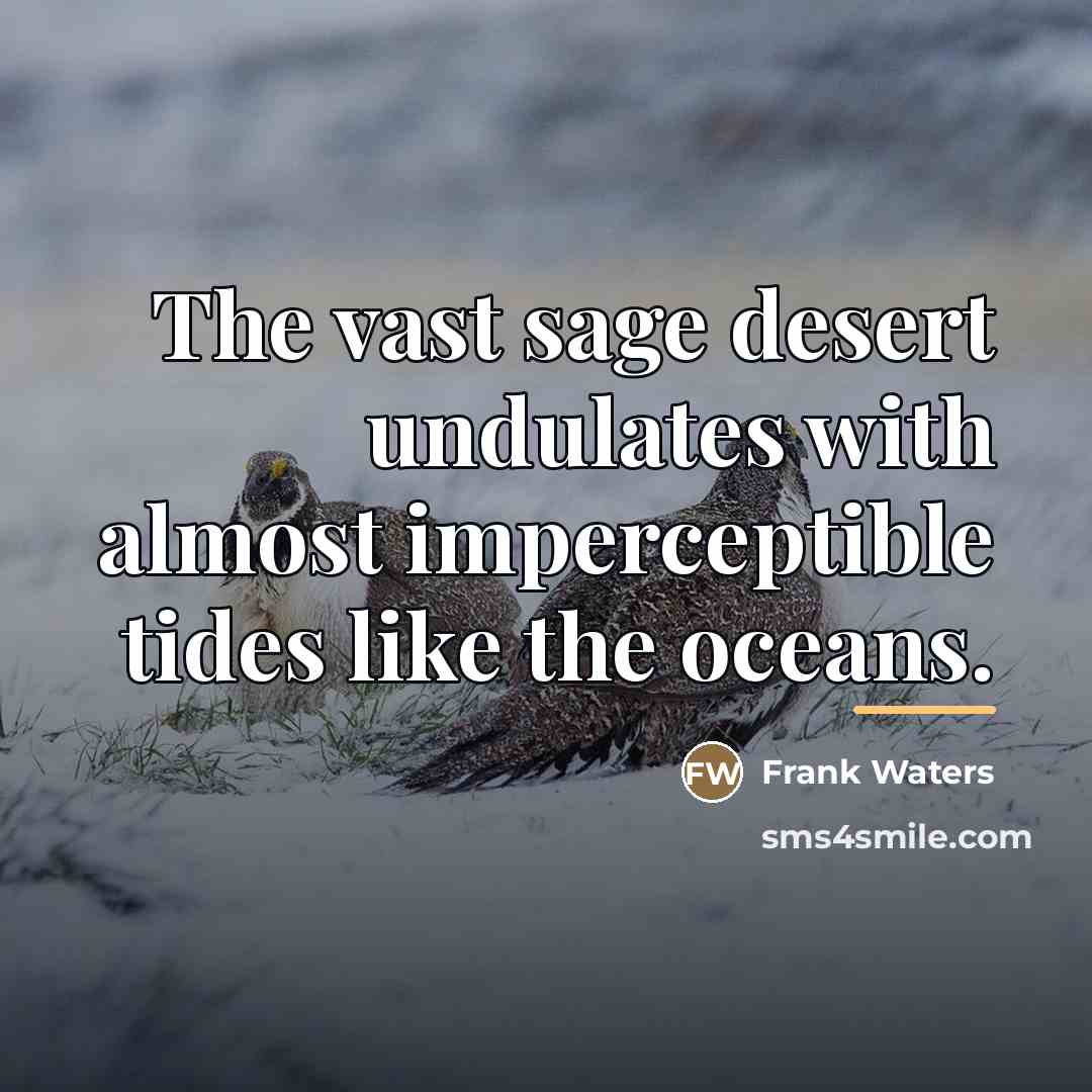 “The vast sage desert undulates with almost imperceptible tides like…” quote by Frank Waters