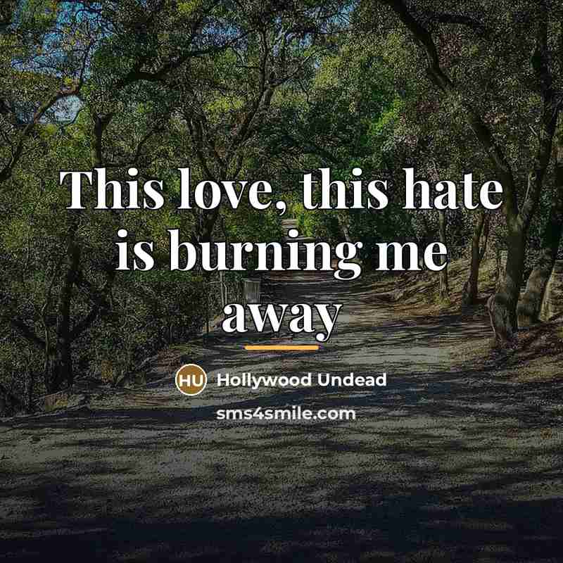 “This love, this hate is burning me away…” quote by Hollywood Undead