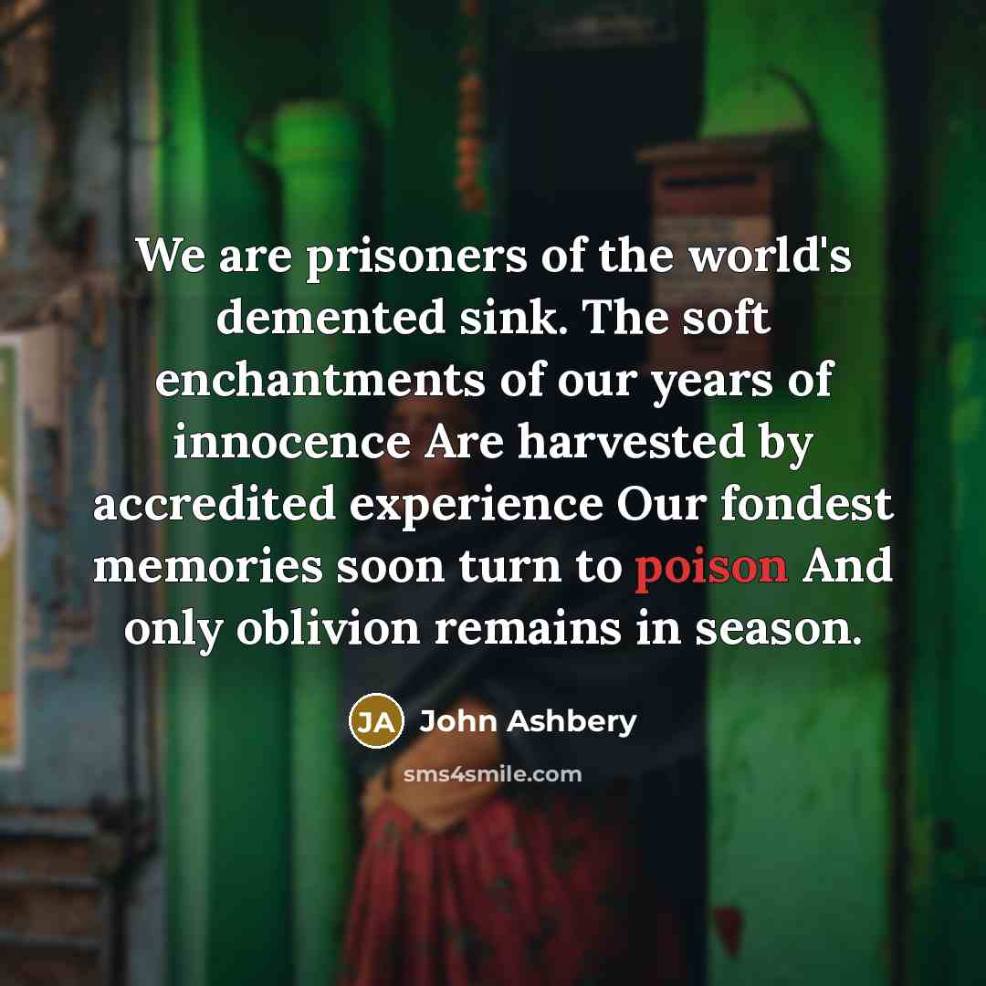 “We are prisoners of the world's demented sink. The soft…” quote by John Ashbery
