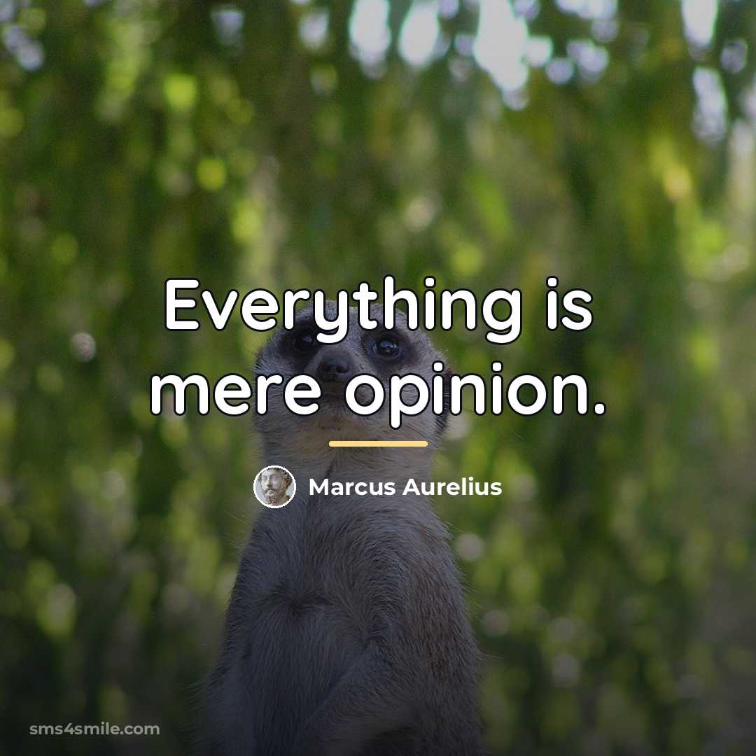 “Everything is mere opinion.…” quote by Marcus Aurelius