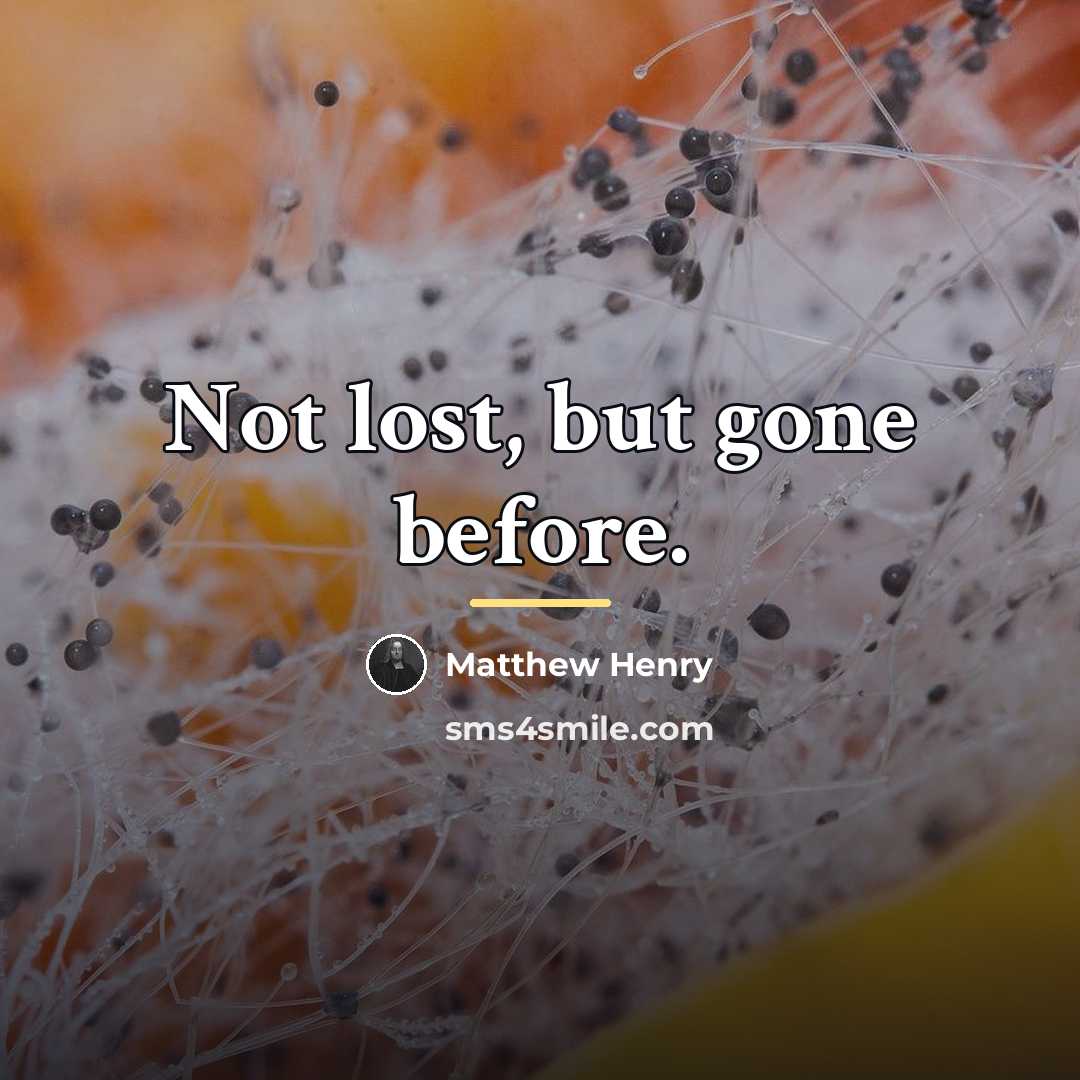 “Not lost, but gone before.…” quote by Matthew Henry