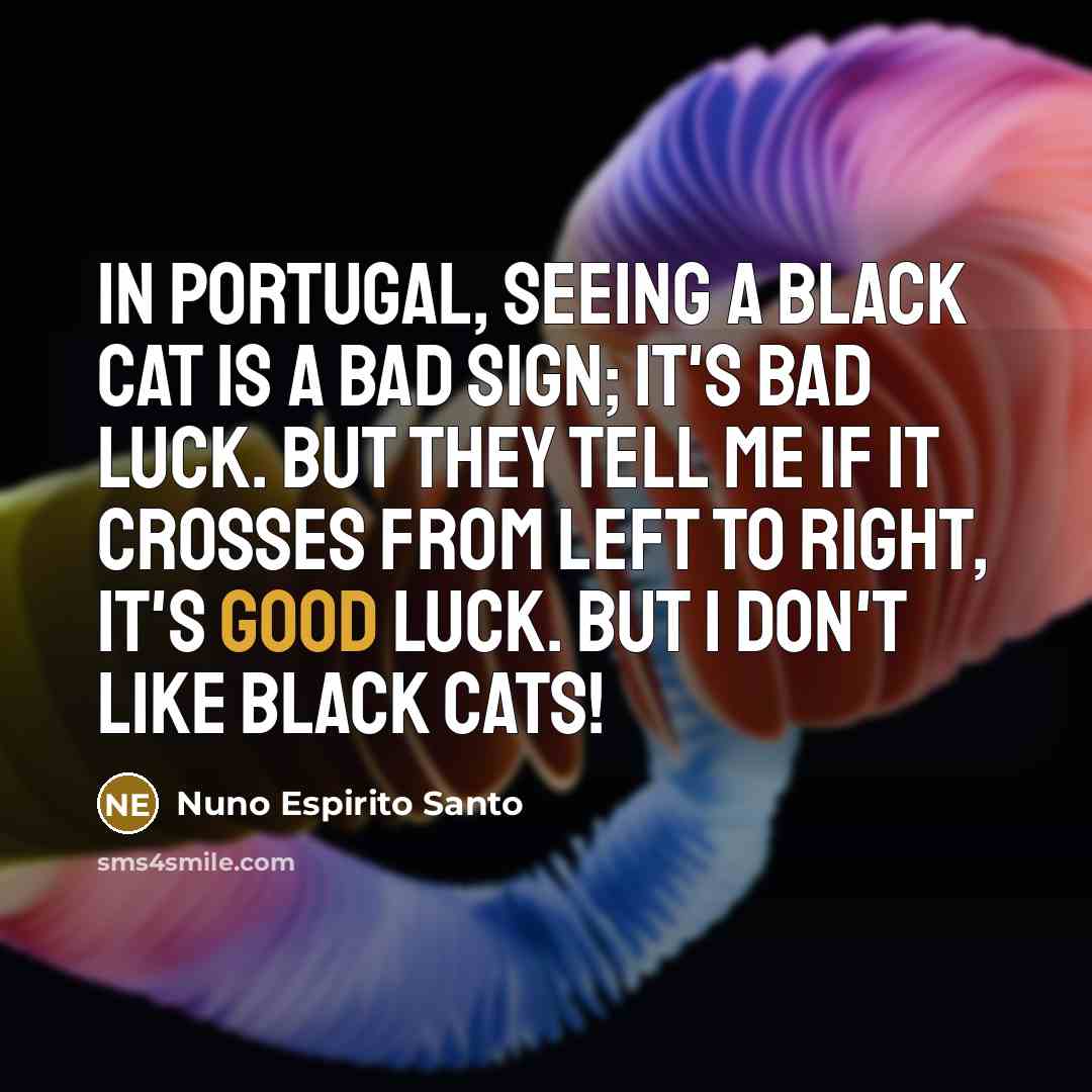 “In Portugal, seeing a black cat is a bad sign;…” quote by Nuno Espirito Santo