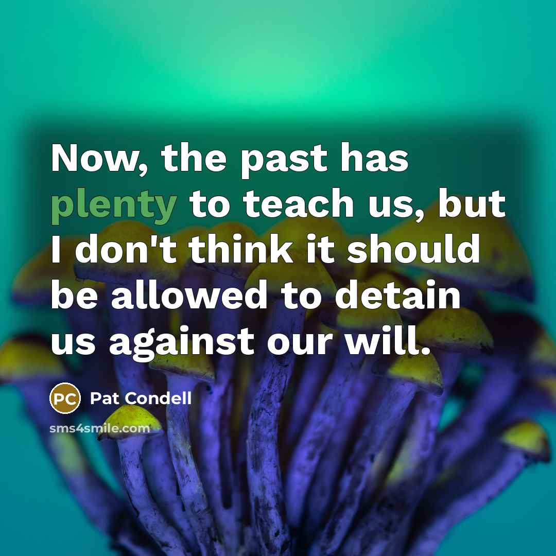 “Now, the past has plenty to teach us, but I…” quote by Pat Condell