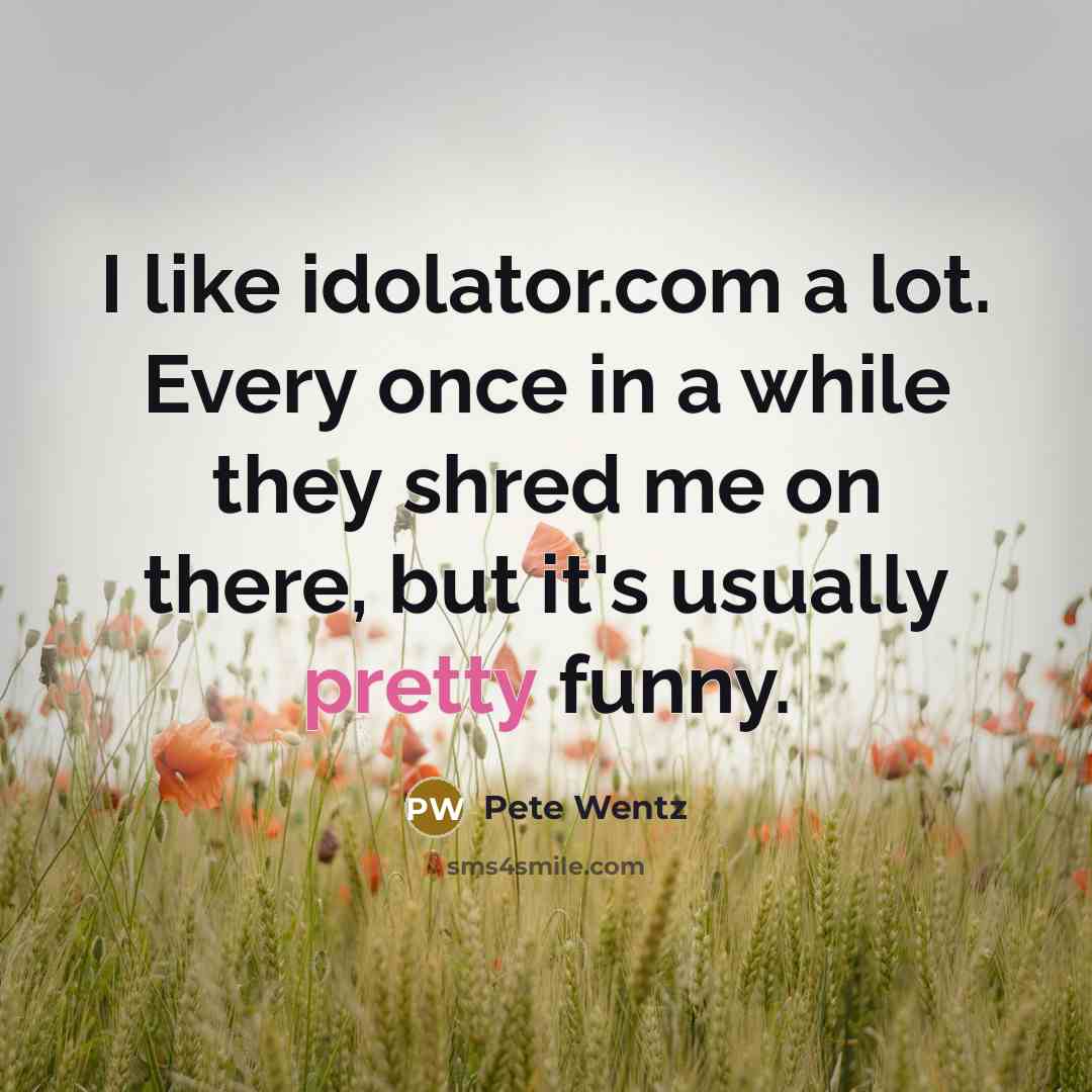 “I like idolator.com a lot. Every once in a while…” quote by Pete Wentz