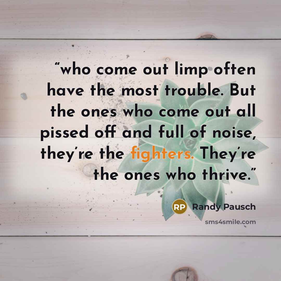 “who come out limp often have the most trouble. But the ones who come out all pissed off and full of noise, they’re the fighters. They’re the ones who thrive.” quote by Randy Pausch
