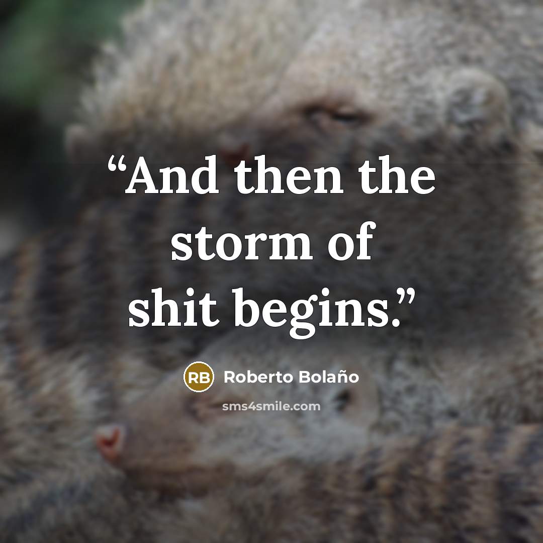 “And then the storm of shit begins.” quote by Roberto Bolaño