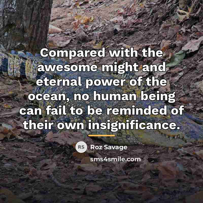 “Compared with the awesome might and eternal power of the…” quote by Roz Savage