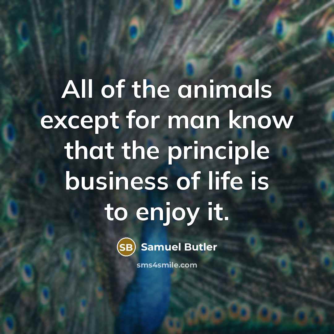 “All of the animals except for man know that the…” quote by Samuel Butler