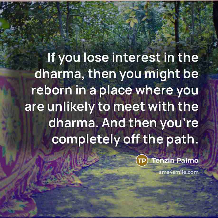 “If you lose interest in the dharma, then you might…” quote by Tenzin Palmo