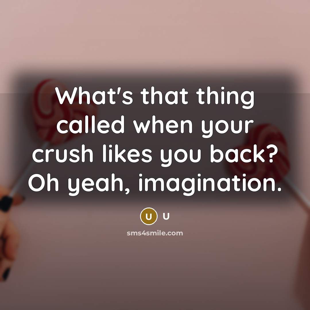 “What's that thing called when your crush likes you back? Oh yeah, imagination.” quote by U