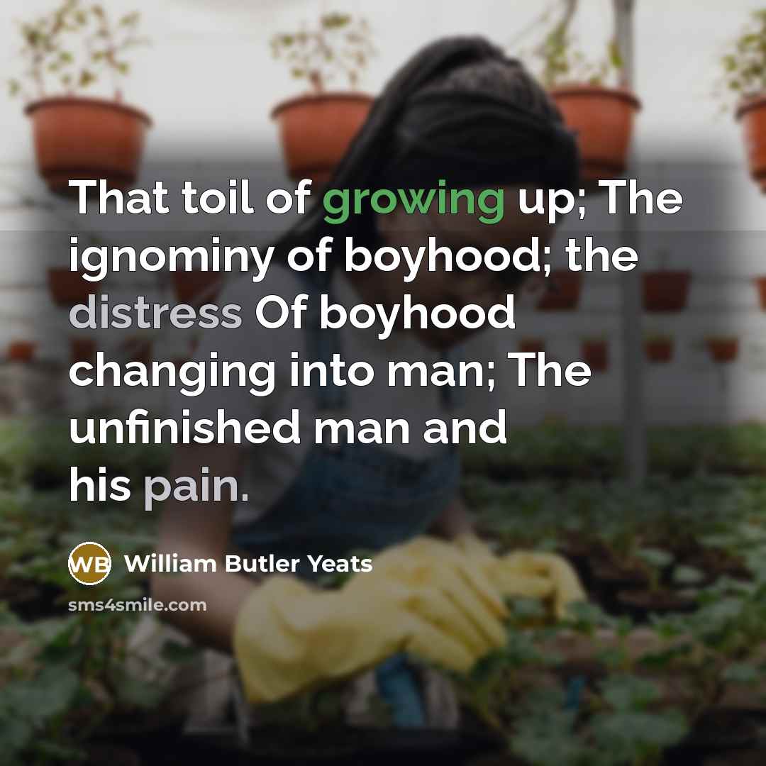 “That toil of growing up; The ignominy of boyhood; the…” quote by William Butler Yeats