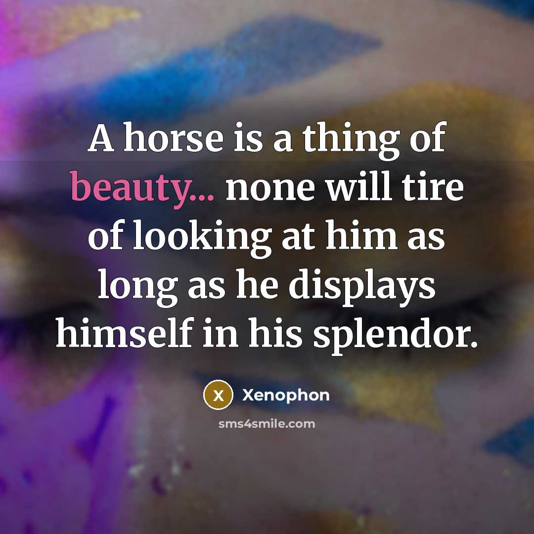 “A horse is a thing of beauty... none will tire…” quote by Xenophon