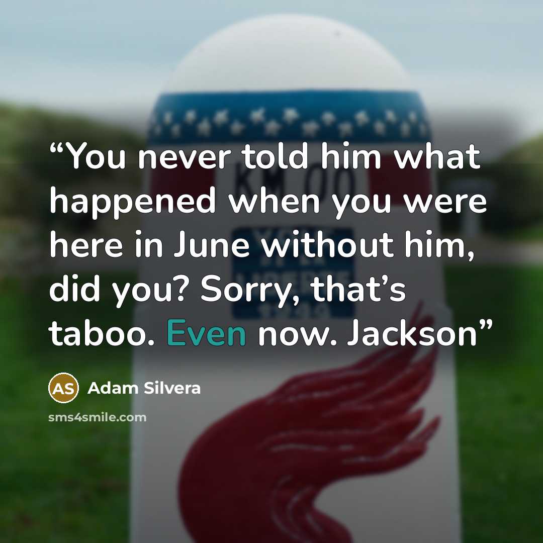 “You never told him what happened when you were here in June without him, did you? Sorry, that’s taboo. Even now. Jackson” quote by Adam Silvera