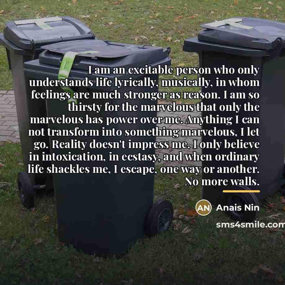 “I am an excitable person who only understands life lyrically,…” quote by Anais Nin