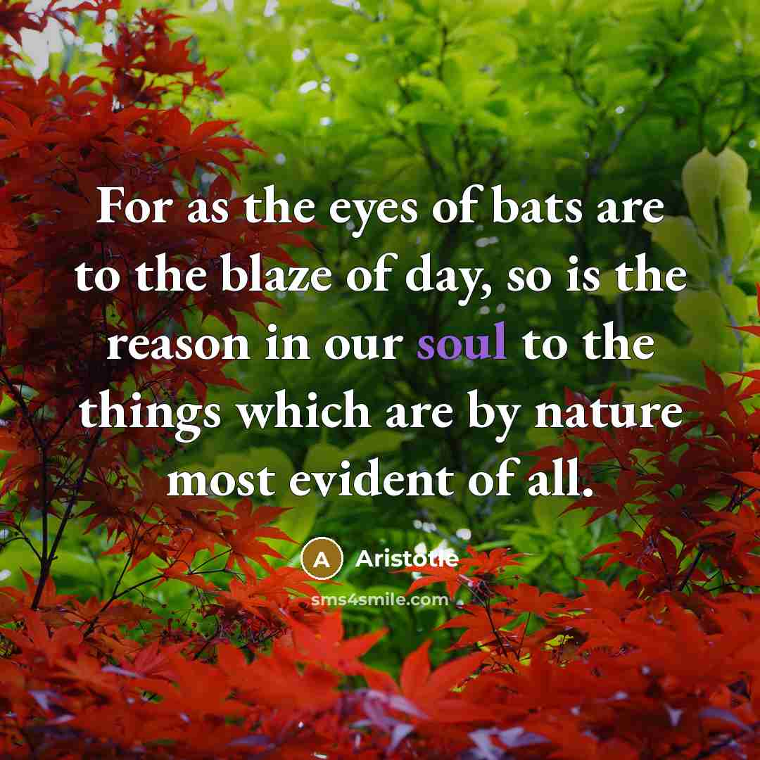 “For as the eyes of bats are to the blaze…” quote by Aristotle