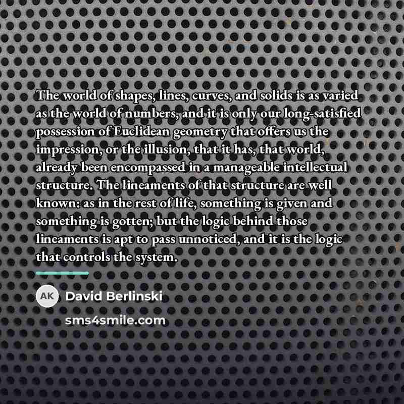 “The world of shapes, lines, curves, and solids is as…” quote by David Berlinski