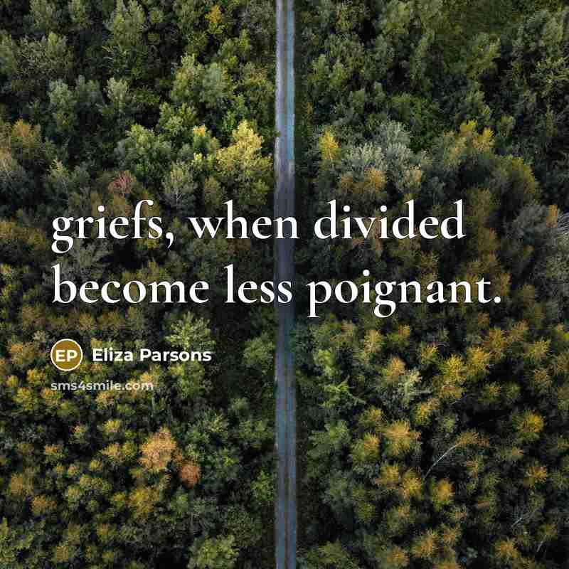 “griefs, when divided become less poignant.…” quote by Eliza Parsons