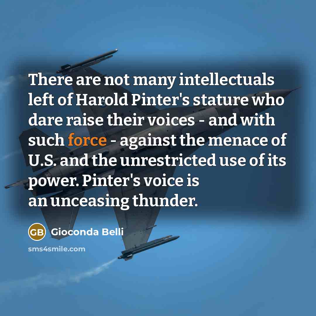 “There are not many intellectuals left of Harold Pinter's stature…” quote by Gioconda Belli