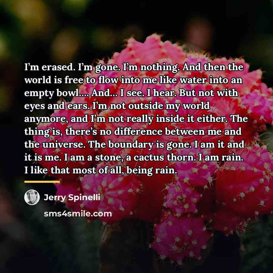 “I’m erased. I’m gone. I’m nothing. And then the world…” quote by Jerry Spinelli