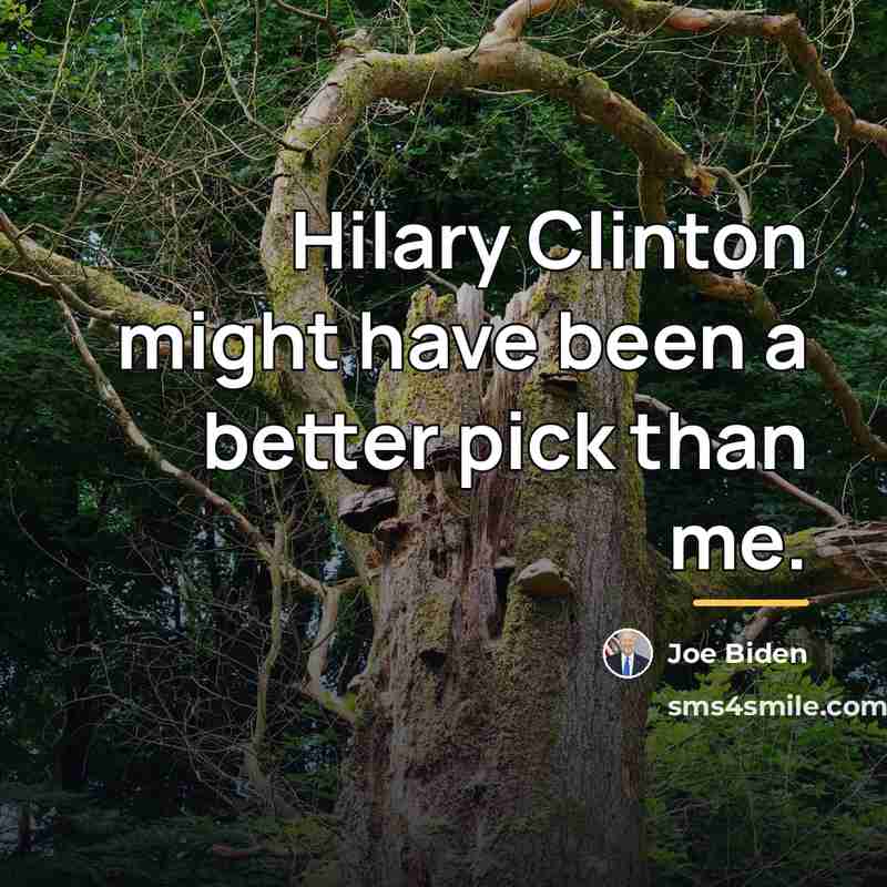 “Hilary Clinton might have been a better pick than me.…” quote by Joe Biden
