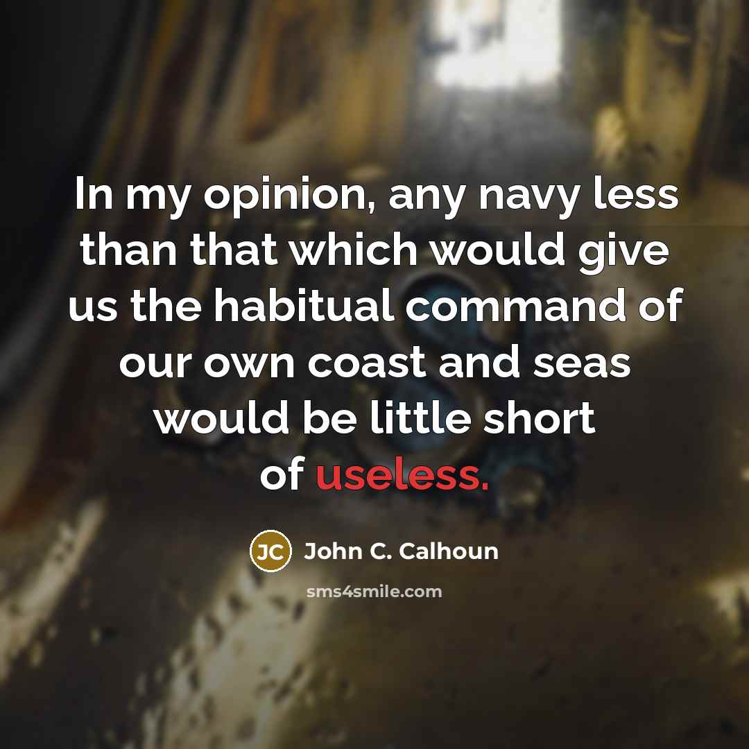 “In my opinion, any navy less than that which would…” quote by John C. Calhoun