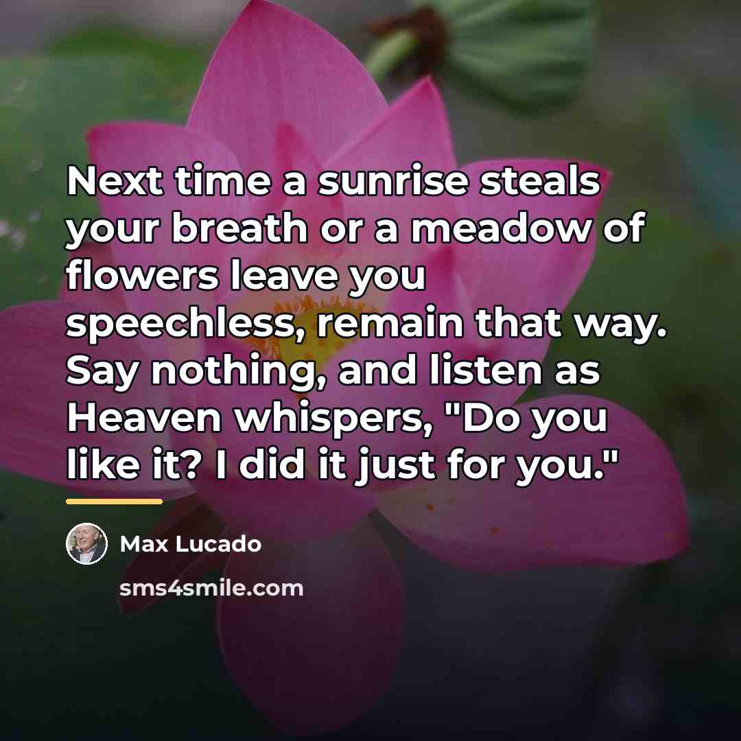 “Next time a sunrise steals your breath or a meadow…” quote by Max Lucado