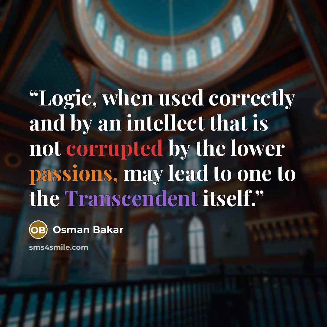 “Logic, when used correctly and by an intellect that is not corrupted by the lower passions, may lead to one to the Transcendent itself.” quote by Osman Bakar