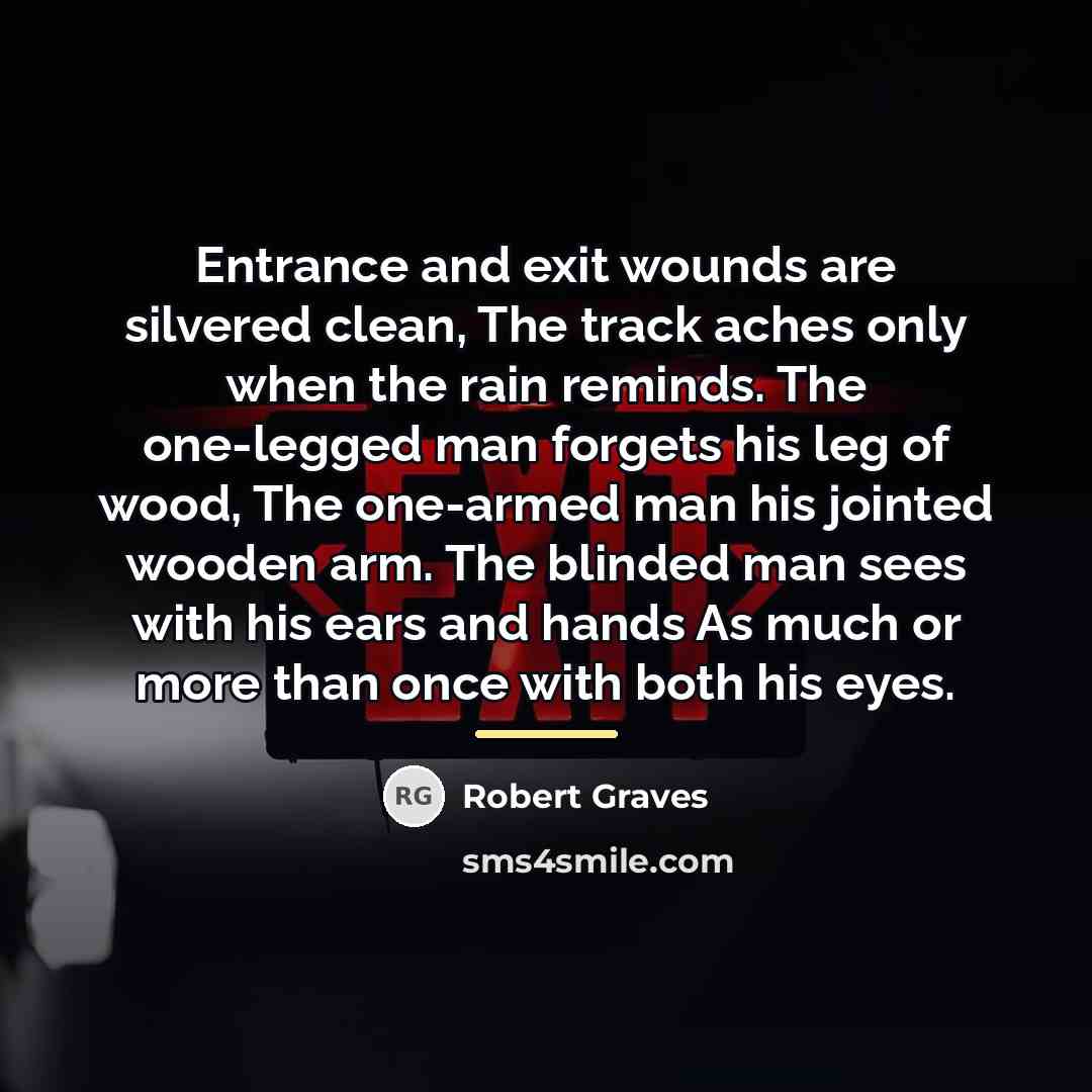 “Entrance and exit wounds are silvered clean, The track aches…” quote by Robert Graves