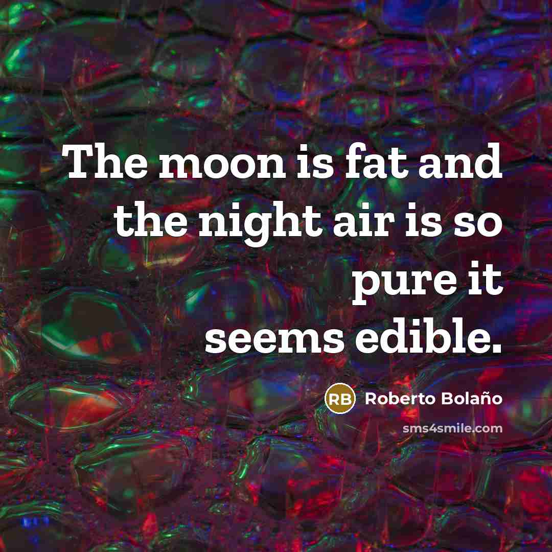 “The moon is fat and the night air is so…” quote by Roberto Bolano