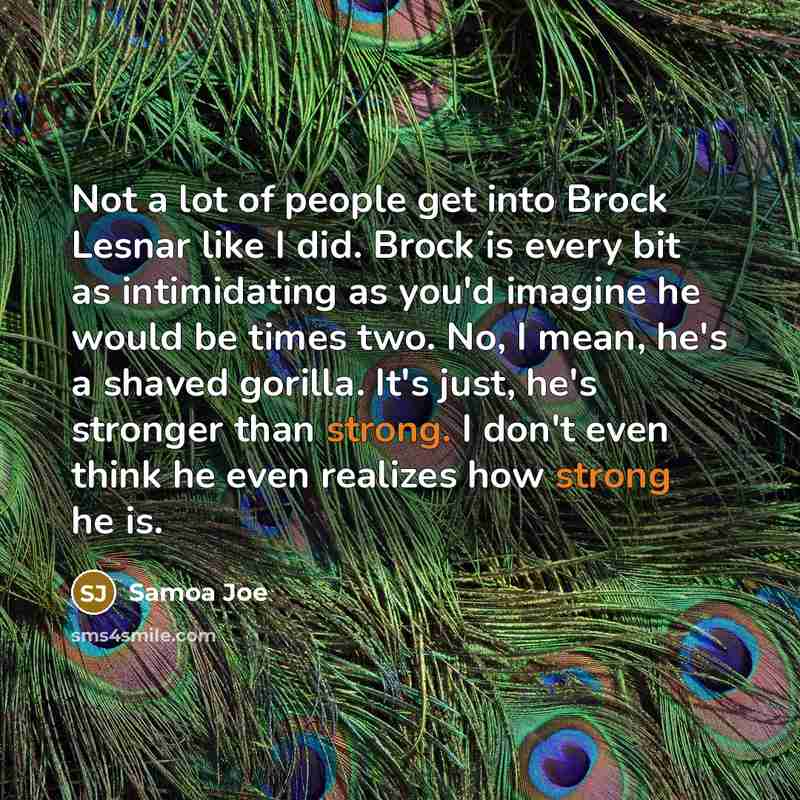 “Not a lot of people get into Brock Lesnar like…” quote by Samoa Joe